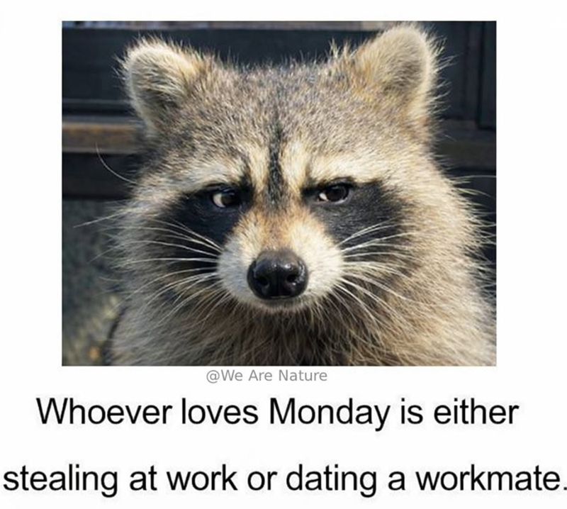@We Are Nature Whoever loves Monday is either stealing at work or dating a workmate.