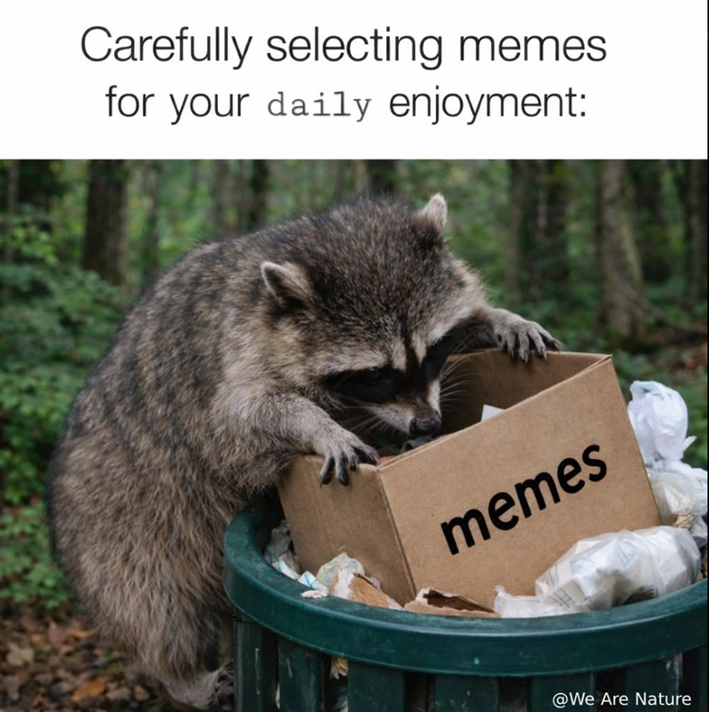 Carefully selecting memes. for your daily enjoyment: memes @We Are Nature