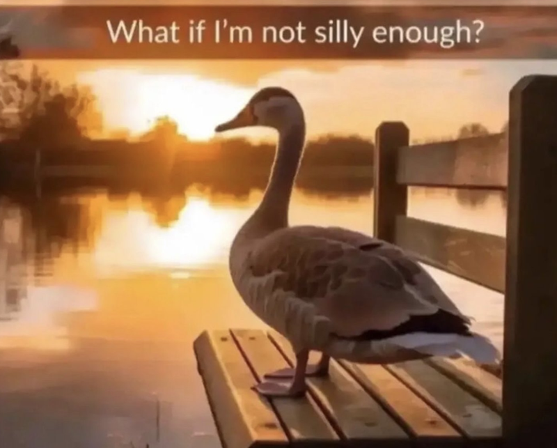 What if I'm not silly enough?