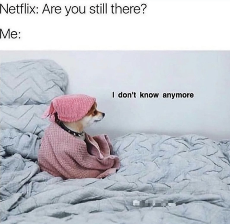 Netflix: Are you still there? Me: I don't know anymore