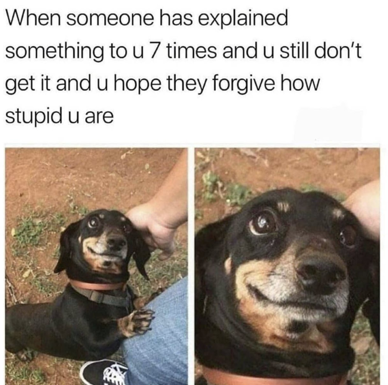 When someone has explained something to u 7 times and u still don't get it and u hope they forgive how stupid u are