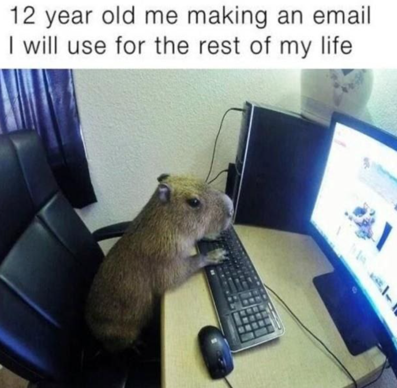 12 year old me making an email I will use for the rest of my life 31