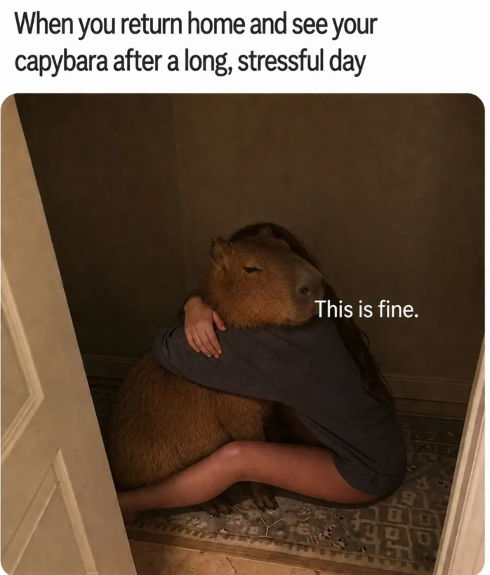When you return home and see your capybara after a long, stressful day This is fine.