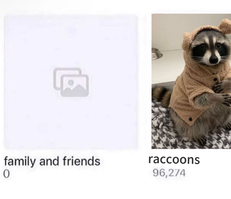 family and friends 0 raccoons 96,274