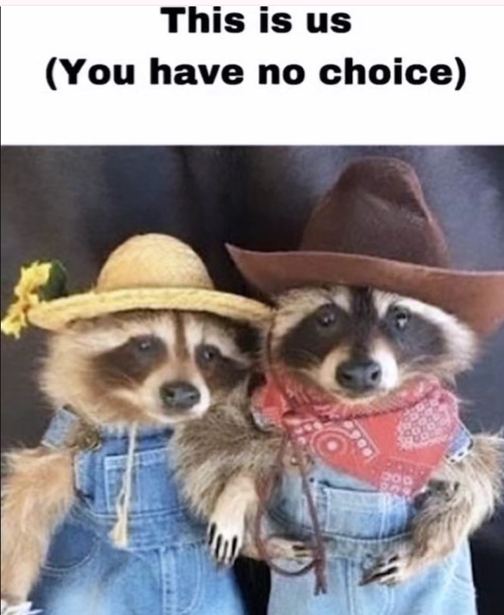This is us (You have no choice)