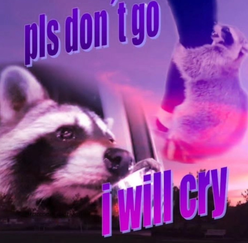 pls don't go Twill cry