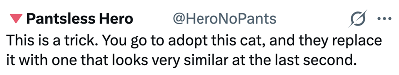Pantsless Hero @HeroNoPants 0 ... This is a trick. You go to adopt this cat, and they replace it with one that looks very similar at the last second.