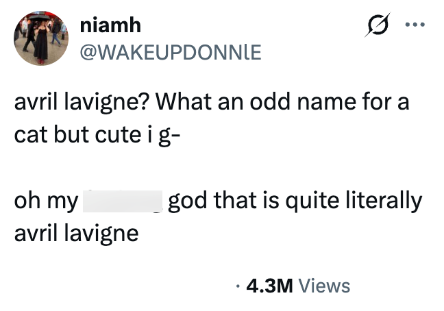 niamh .. @WAKEUPDONNLE avril lavigne? What an odd name for a cat but cute i g- oh my Igod that is quite literally avril lavigne • 4.3M Views