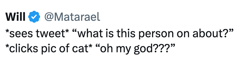 Will @Matarael *sees tweet* "what is this person on about?" *clicks pic of cat* "oh my god???"