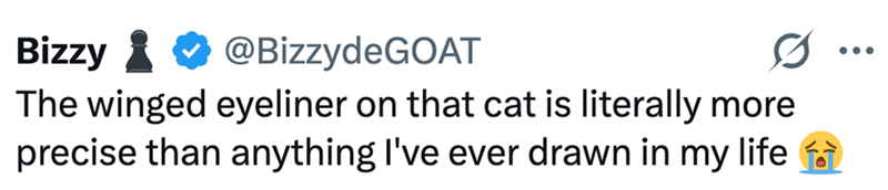 Bizzy @BizzydeGOAT The winged eyeliner on that cat is literally more precise than anything I've ever drawn in my life
