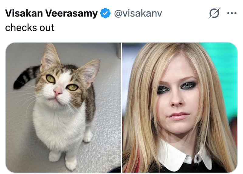 Visakan Veerasamy checks out @visakanv ...