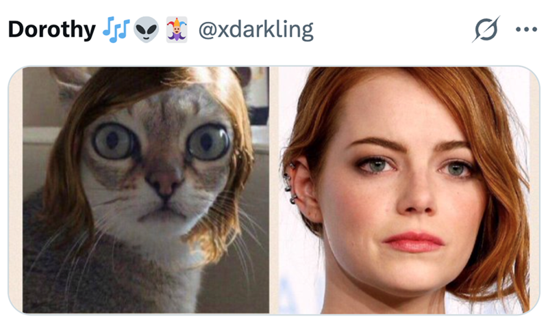 Dorothy JJ @xdarkling