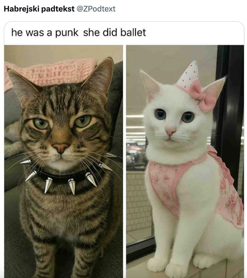 Habrejski padtekst @ZPodtext he was a punk she did ballet