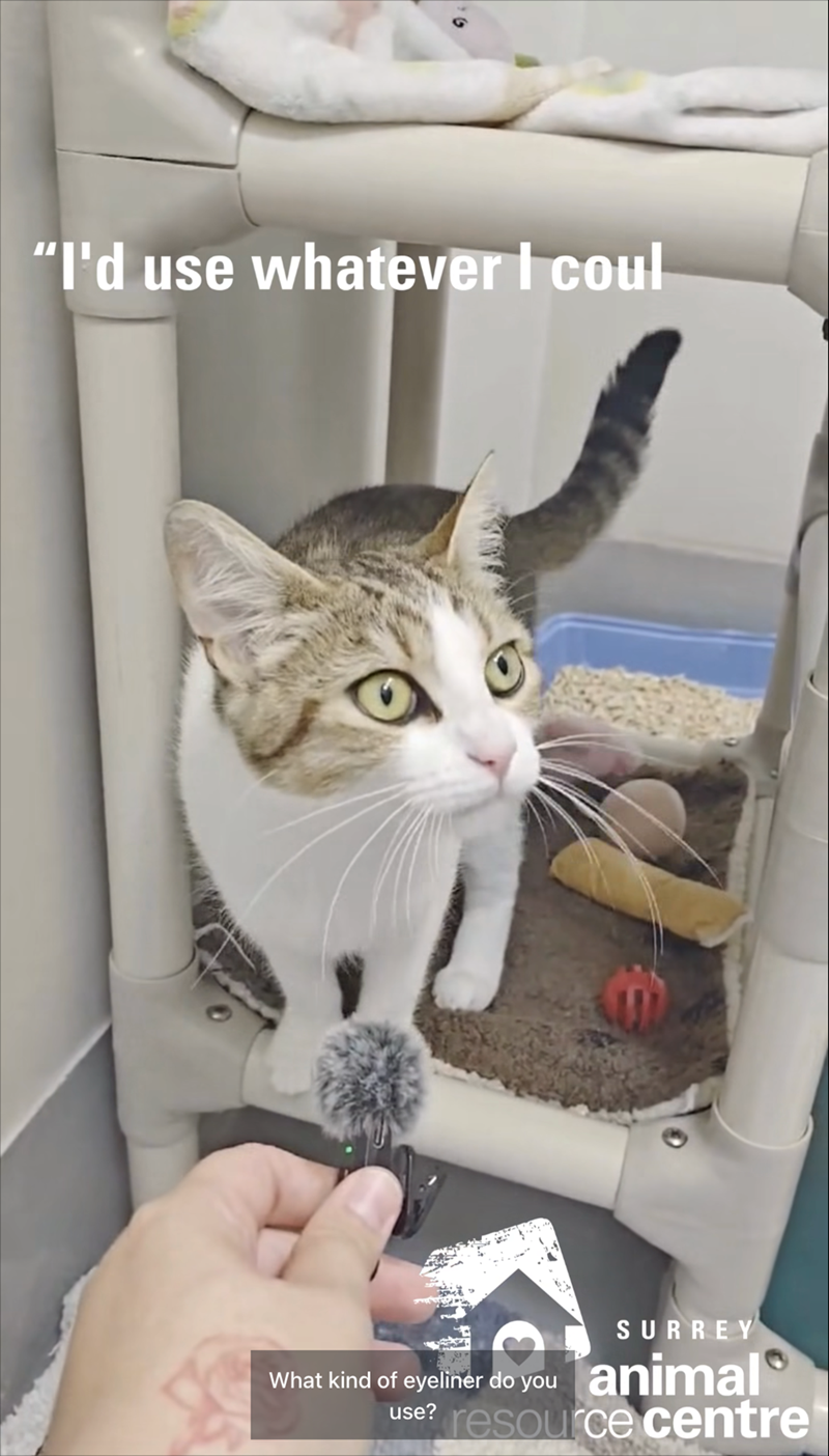 "I'd use whatever I coul SURREY What kind of eyeliner do you animal resource centre use?