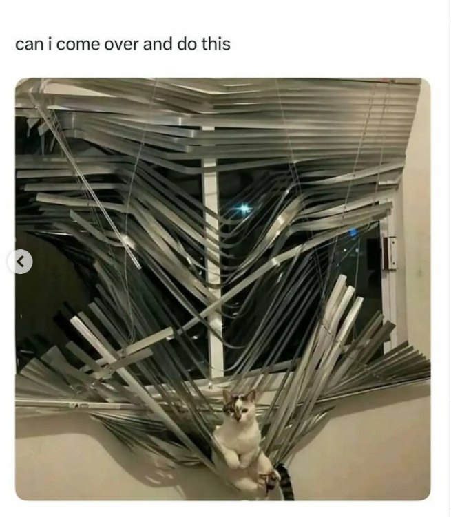 can i come over and do this <
