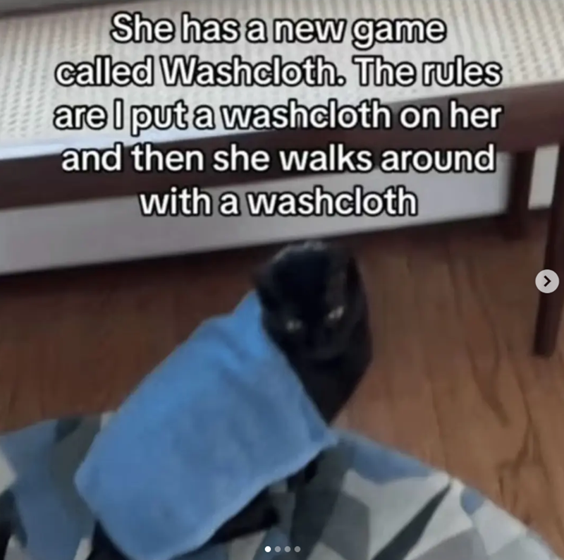 She has a new game called Washcloth. The rules are I put a washcloth on her and then she walks around with a washcloth