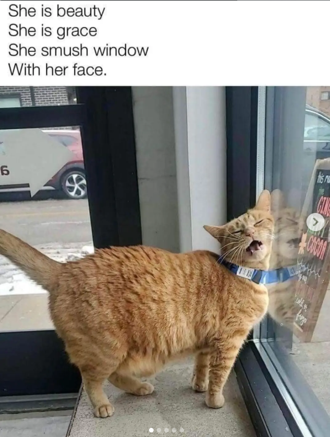 She is beauty She is grace She smush window With her face. 6 this ro COCON