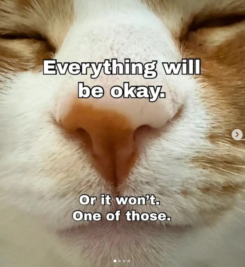 Everything will be okay. Or it won't. One of those. >