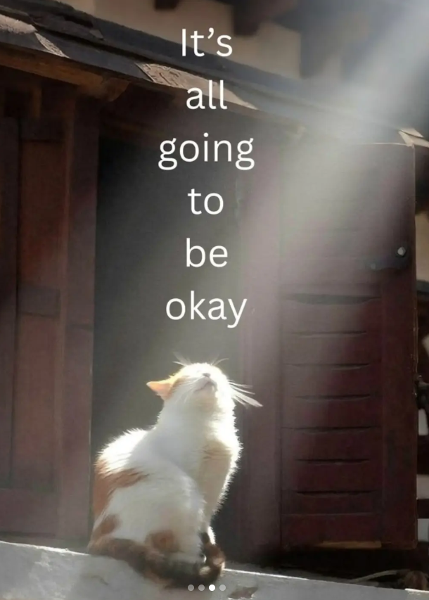 It's all going to be okay
