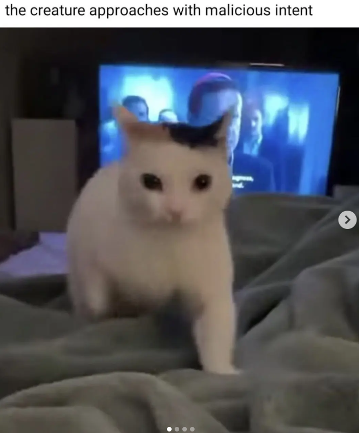 the creature approaches with malicious intent