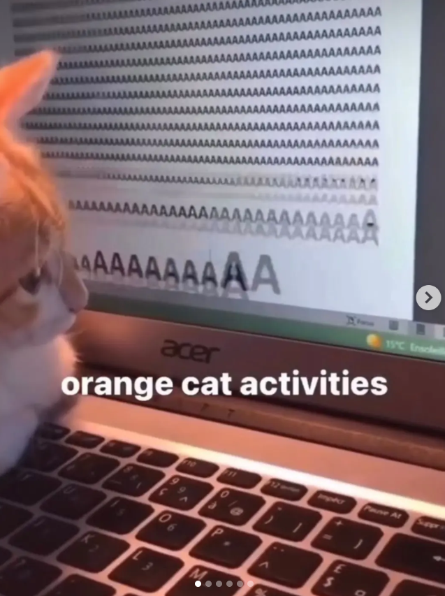 LAAAAAAAAA AAAAAAAAAAAAAA AAAAAAAA AAAAAAAAAAAAAAAAAAAAAAAAAA AAAAAAAAAAAAAAAAAAAAAAAA AAAAAAAAAAAAAAAAAAAAAAA AAAAAAAAAAAAAAAAAAAAAAAAAA AAAAAAAAAAA AAAAAA > 15°C Ensoleil AAAAAAAAAAAAAAAAAAAAAAAAAAAA AAAAAAAAAA AAAAAAAAA acer orange cat activities 06 M 53