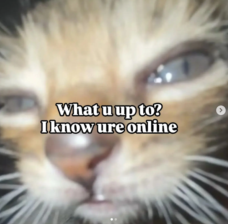 What u up to? I know ure online >