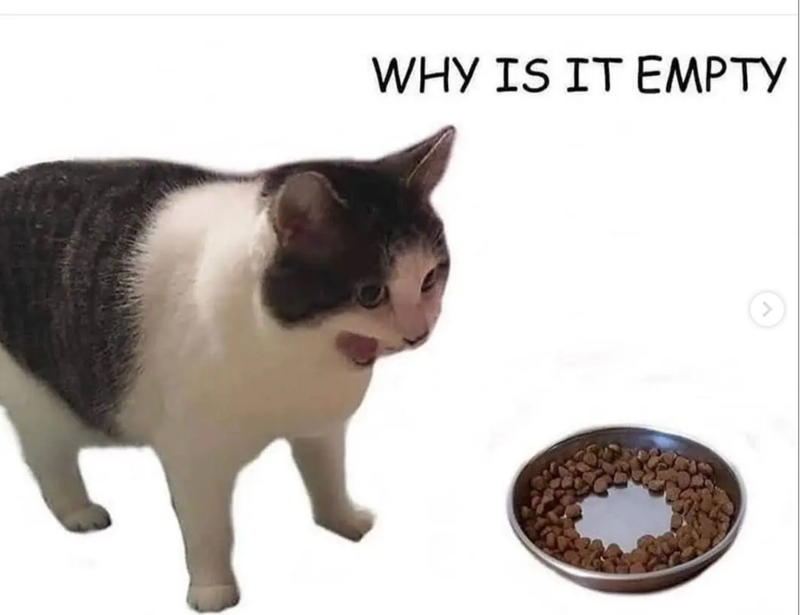WHY IS IT EMPTY >