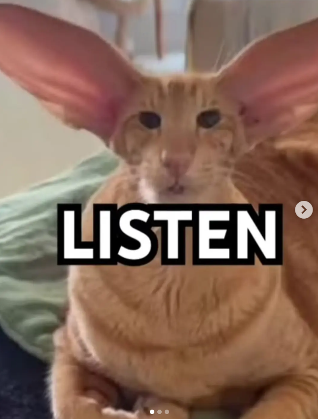 LISTEN >