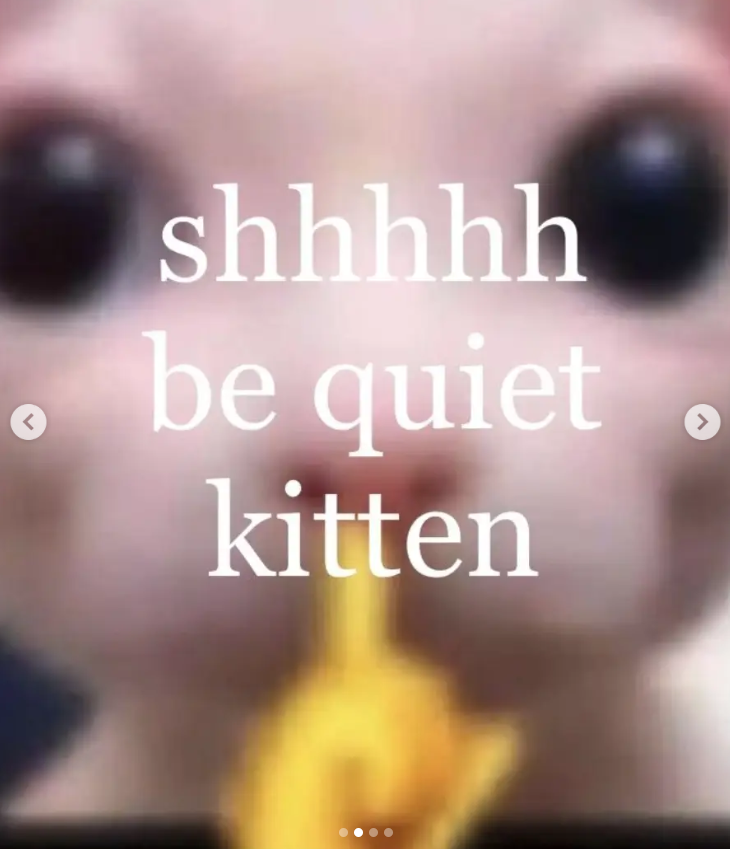 < shhhhh be quiet kitten >