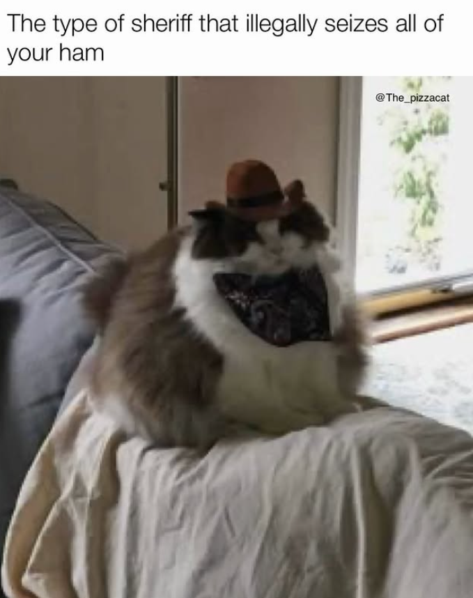 The type of sheriff that illegally seizes all of your ham The pizzacat