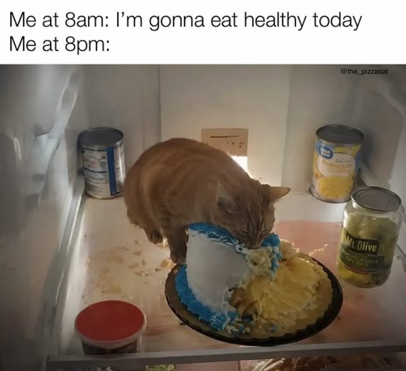 Me at 8am: I'm gonna eat healthy today Me at 8pm: @the_pizzacat Mt. Olive SELL AMD DILL
