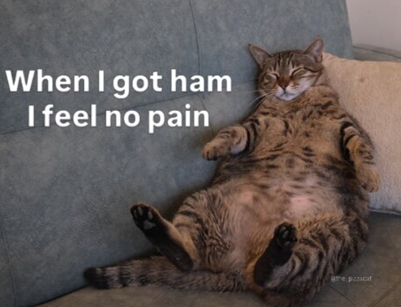 When I got ham I feel no pain the pizzacat
