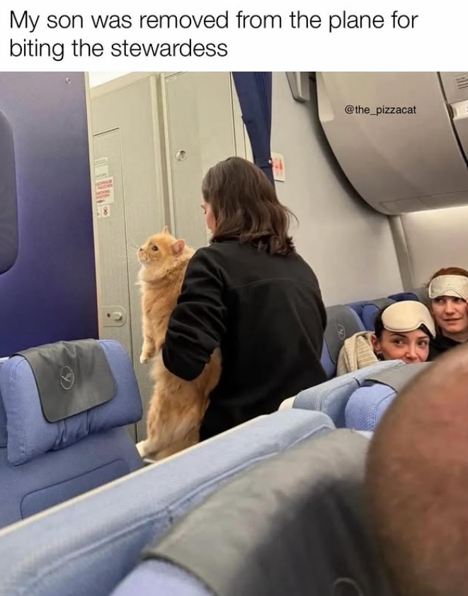 My son was removed from the plane for biting the stewardess @the_pizzacat E