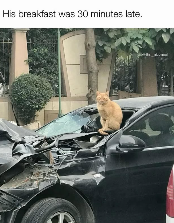 His breakfast was 30 minutes late. @the_pizzacat