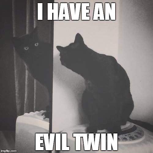 imgflip.com I HAVE AN EVIL TWIN