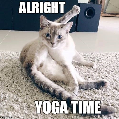 ingiip.com ALRIGHT YOGA TIME