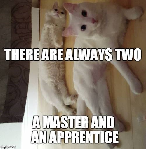 THERE ARE ALWAYS TWO ingi.p.com A MASTER AND AN APPRENTICE