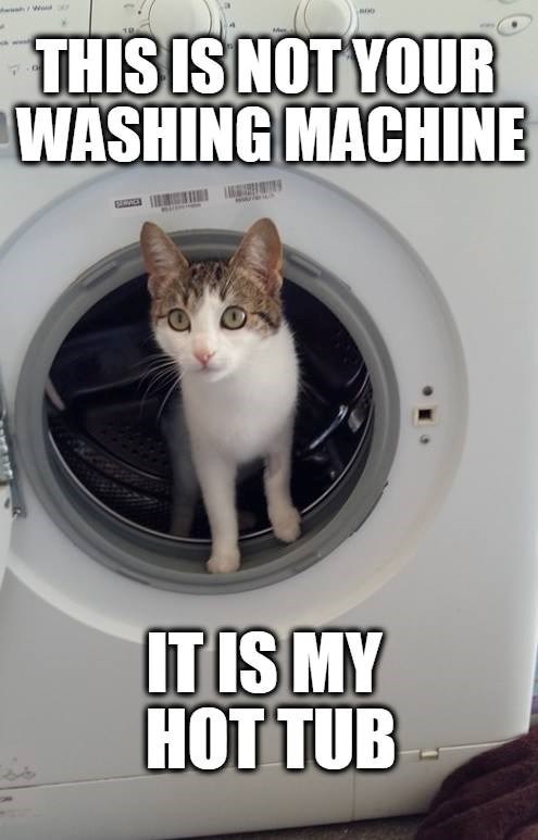 THIS IS NOT YOUR WASHING MACHINE IT IS MY HOT TUB