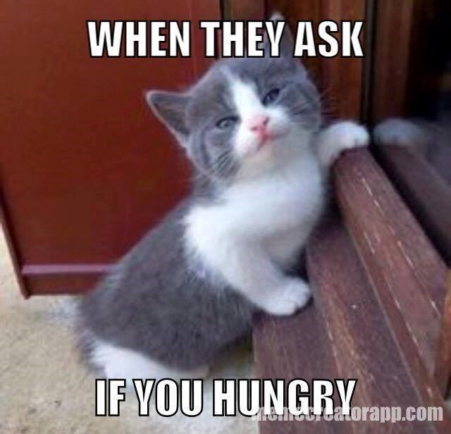 WHEN THEY ASK IF YOU HUNGRY Checcatorapp.com