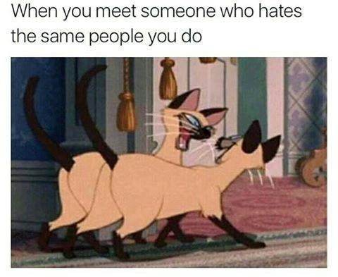 When you meet someone who hates the same people you do