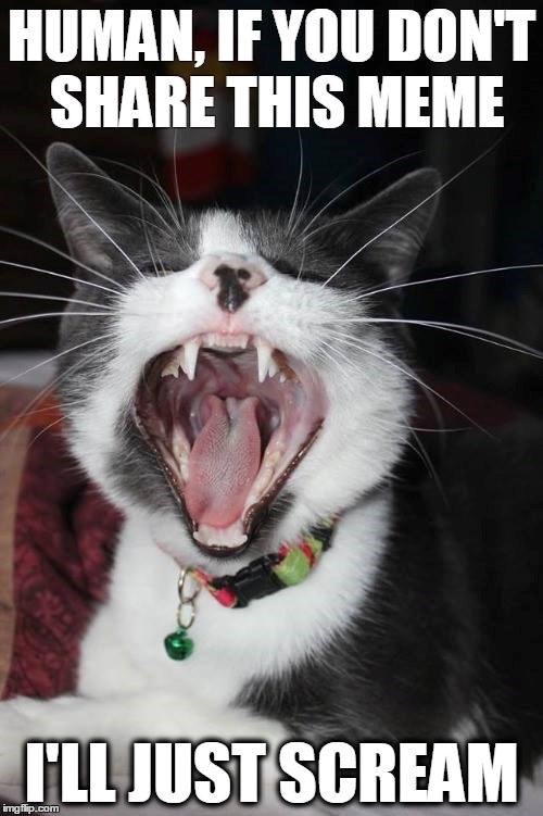 HUMAN, IF YOU DON'T SHARE THIS MEME I'LL JUST SCREAM imgflip.com
