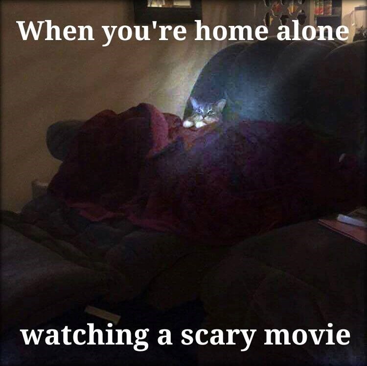 When you're home alone watching a scary movie