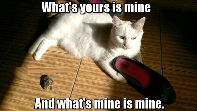 What's yours is mine PUSIO And what's mine is mine.
