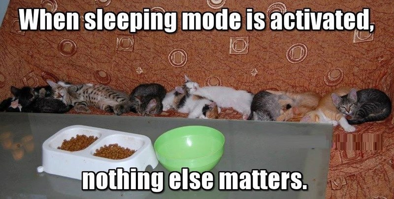 When sleeping mode is activated, nothing else matters.