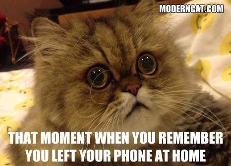 MODERNCAT.COM THAT MOMENT WHEN YOU REMEMBER YOU LEFT YOUR PHONE AT HOME