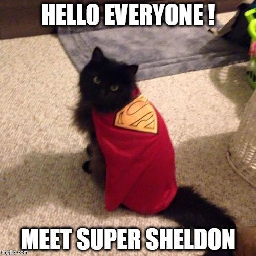 imgflip.com HELLO EVERYONE! MEET SUPER SHELDON
