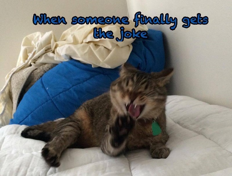 When someone finally gets the joke