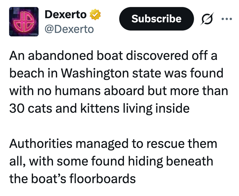 Dexerto @Dexerto Subscribe An abandoned boat discovered off a beach in Washington state was found with no humans aboard but more than 30 cats and kittens living inside Authorities managed to rescue them all, with some found hiding beneath the boat's floorboards