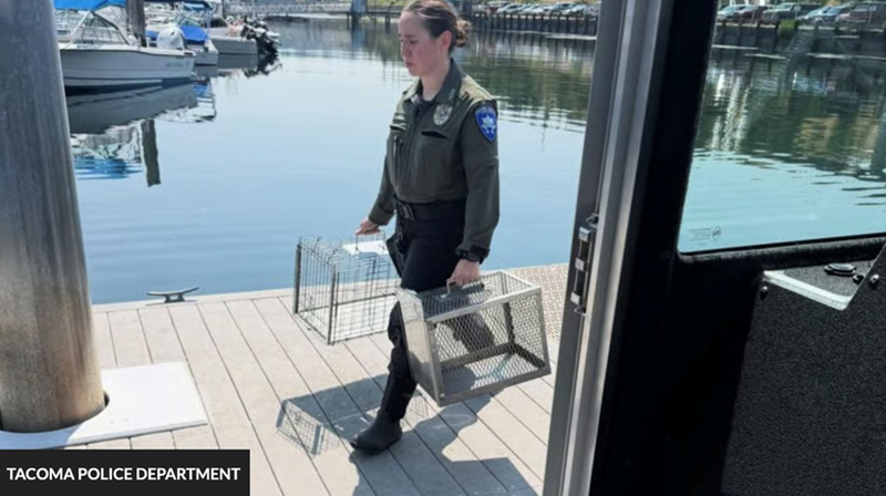 TACOMA POLICE DEPARTMENT