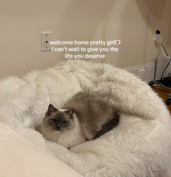 welcome home pretty girl I can't wait to give you the life you deserve